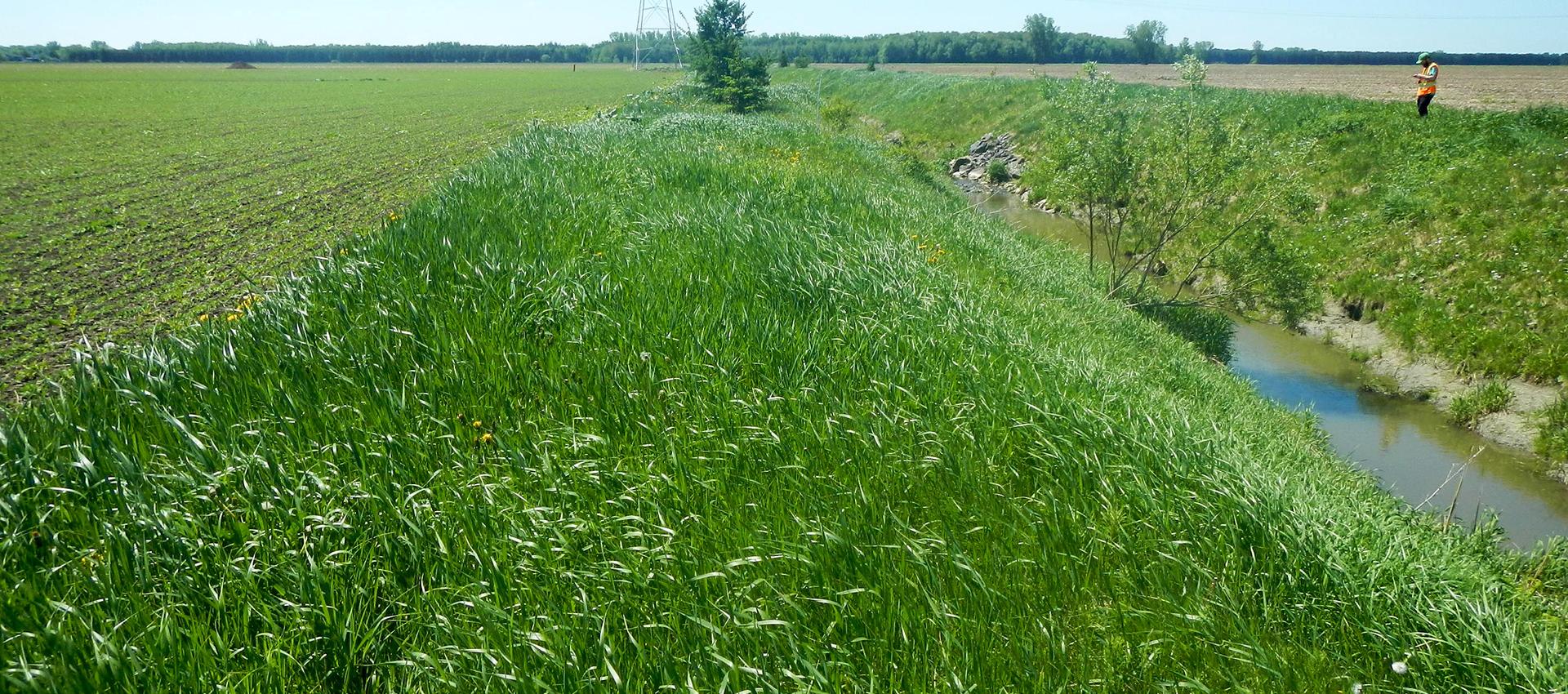 bande riveraine sorel tracy