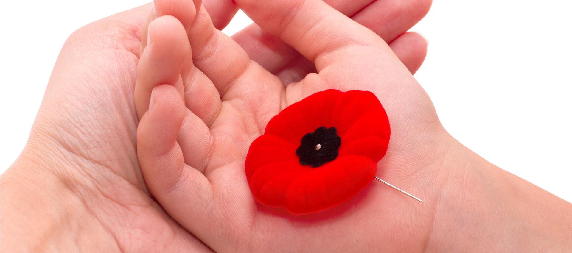 La campagne du coquelicot et les