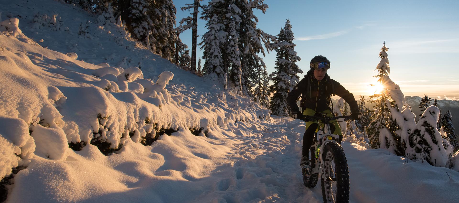 fat bike continental