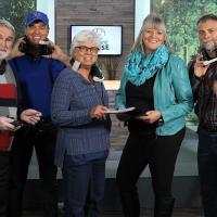 Matiere Grise Equipe