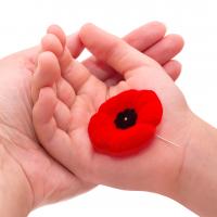 jour souvenir soreltracyetcie