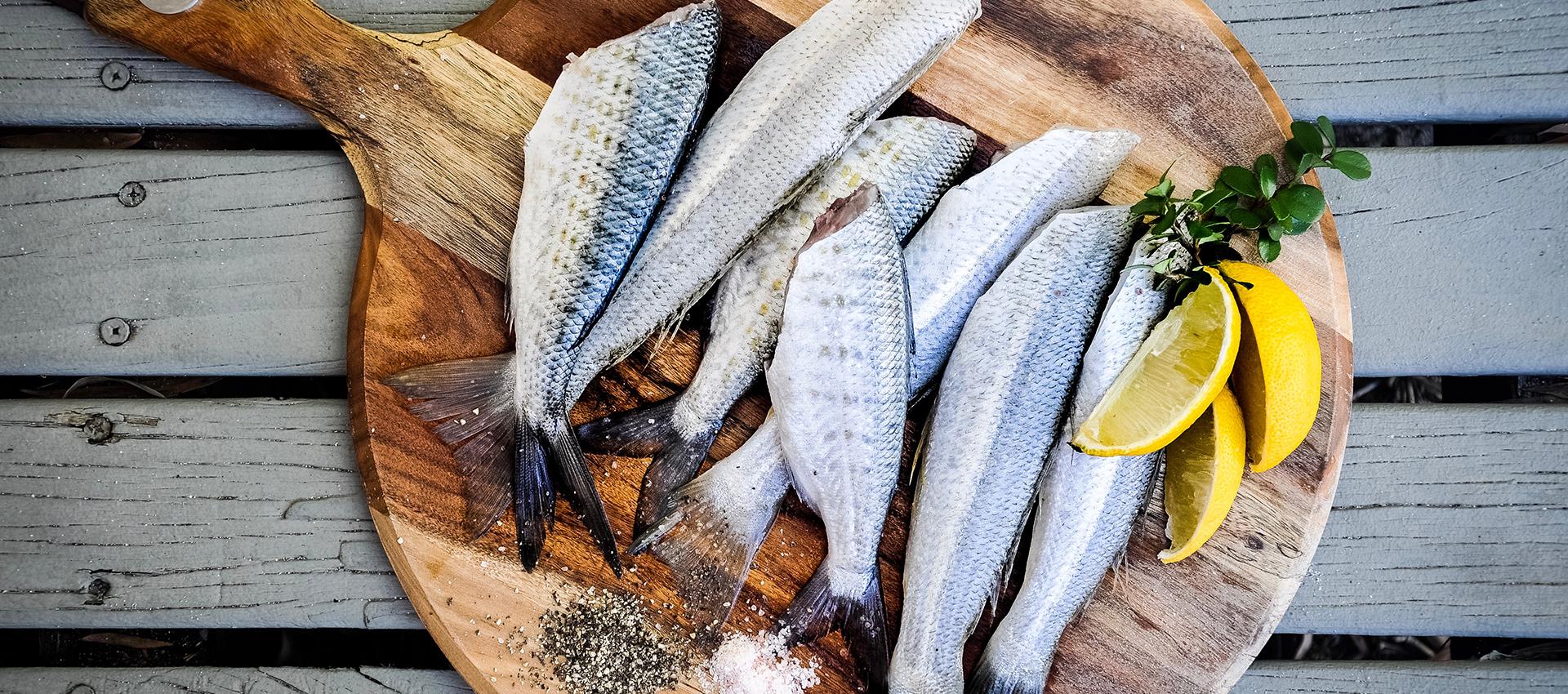 Poisson Nutrition SorelTracyCie