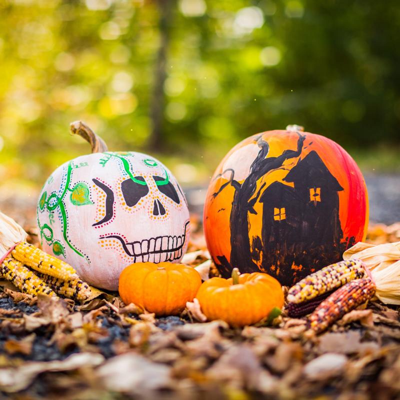 Halloween 2