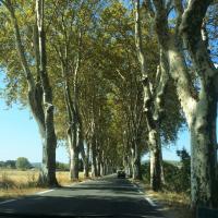 Route et paysage autour dUzes