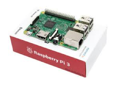 Raspberry