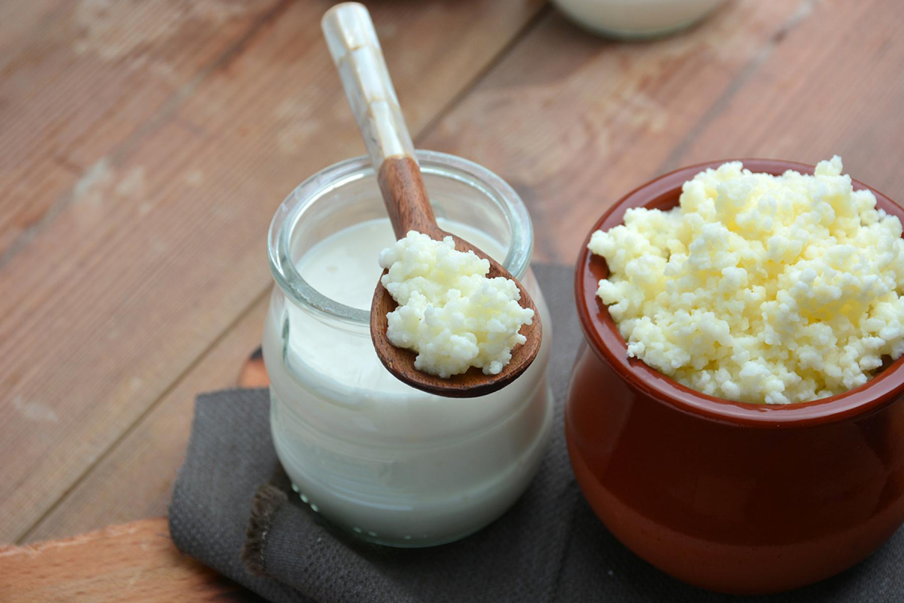 kefir sorel tracy