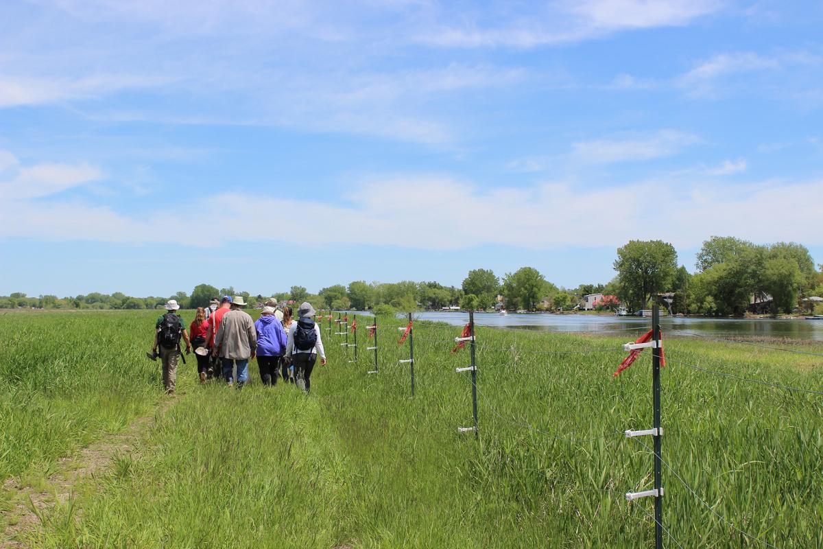 IDM Groupe nature 02