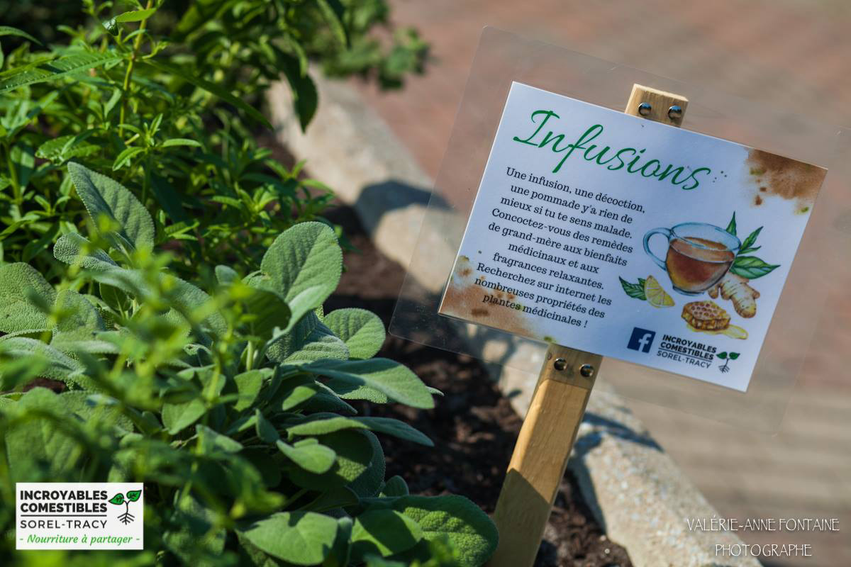 incroyable commestible sorel tracy 02