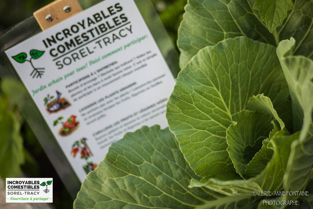 incroyable commestible sorel tracy